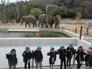 姫路セントラルパークの園内で像を見る園児たちの様子
